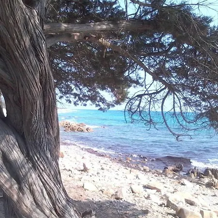 Oleandro - 2349447 Prázdninový dům San Teodoro (Sardinia)