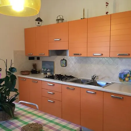 Oleandro - 2349447 * San Teodoro (Sardinia)