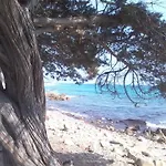 Oleandro - 2349447 Hébergement de vacances San Teodoro (Sardinia)