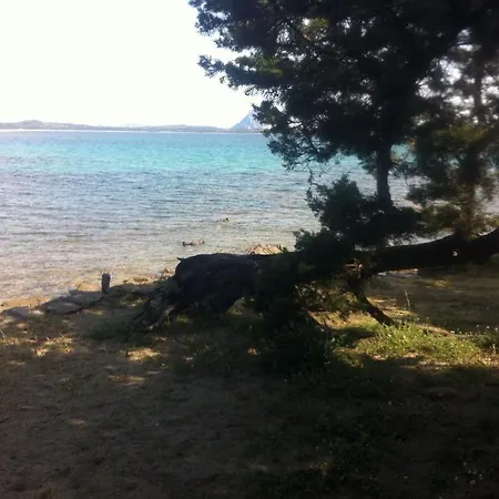 Holiday home Oleandro - 2349447